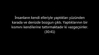 video egitim bilisim agi