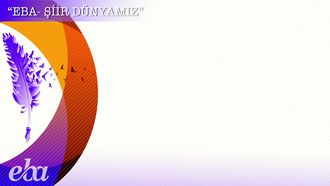 Video Egitim Bilisim Agi