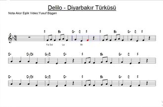 Video Egitim Bilisim Agi Ilgaz melodika ile nasıl çalınır? video egitim bilisim agi