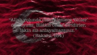 Video Egitim Bilisim Agi